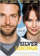 <b>Robert De Niro</b><br>Silver Linings (2012)<br><small><i>The Silver Linings Playbook</i></small>