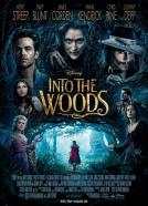 <b>Dennis Gassner & Anna Pinnock</b><br>Into the Woods (2014)<br><small><i>Into the Woods</i></small>