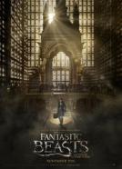 <b>Colleen Atwood</b><br>Phantastische Tierwesen und wo sie zu finden sind (2016)<br><small><i>Fantastic Beasts and Where to Find Them</i></small>