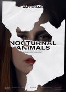 <b>Michael Shannon</b><br>Nocturnal Animals (2016)<br><small><i>Nocturnal Animals</i></small>