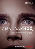Amanda Knox (2016)<br><small><i>Amanda Knox</i></small>
