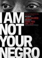 I Am Not Your Negro (2016)<br><small><i>I Am Not Your Negro</i></small>