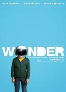 <b>Arjen Tuiten</b><br>Wunder (2017)<br><small><i>Wonder</i></small>