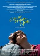 <b>James Ivory</b><br>Call Me By Your Name (2017)<br><small><i>Call Me by Your Name</i></small>