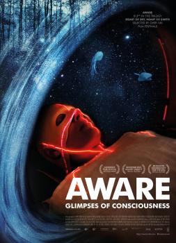 AWARE - Reise in das Bewusstsein