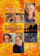 <b>Judi Dench</b><br>Best Exotic Marigold Hotel (2011)<br><small><i>The Best Exotic Marigold Hotel</i></small>