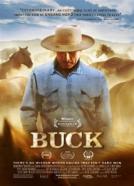 Buck Der Wahre Pferdeflüsterer