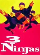 3 Ninja Kids