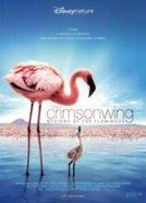 Auf purpurnen Schwingen - Das Geheimnis der Flamingos