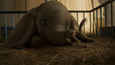 Ausschnitt aus dem Film - Dumbo