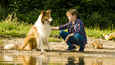 Ausschnitt aus dem Film - Lassie - Eine abenteuerliche Reise