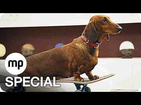 Wiener Dog - Trailer & Filmclip