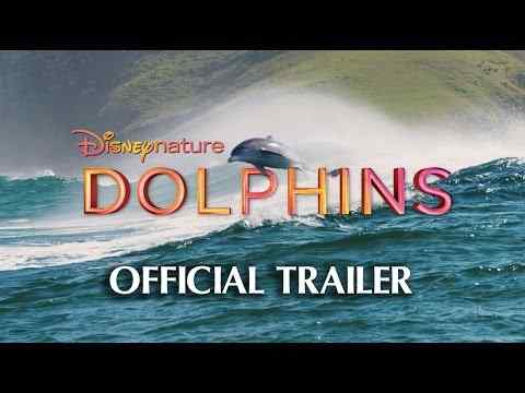 Dolphins - trailer