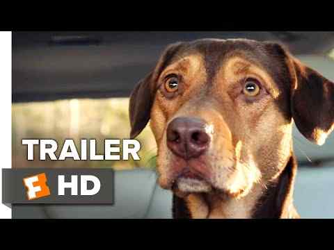 A Dog's Way Home - trailer 2
