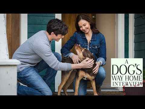 A Dog's Way Home - Interviews