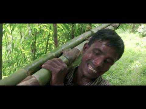 Bamboo Stories - trailer 1