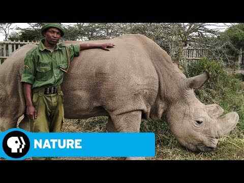 Sudan: The Last of the Rhinos - trailer