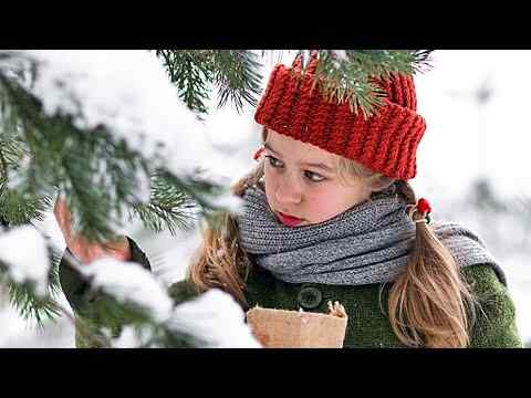 Weihnachten im Zaubereulenwald - trailer 1