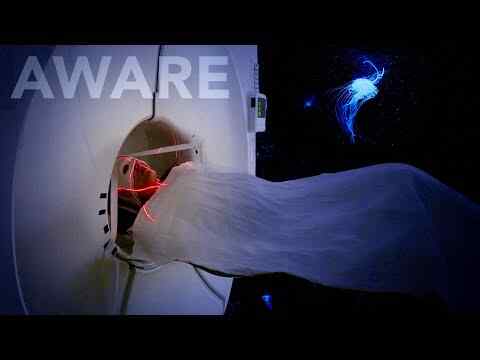Aware: Glimpses of Consciousness - trailer