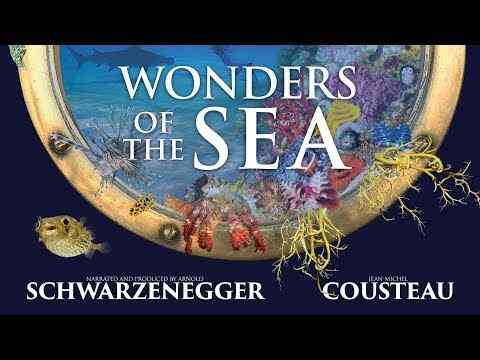 Wonders of the Sea 3D - trailer