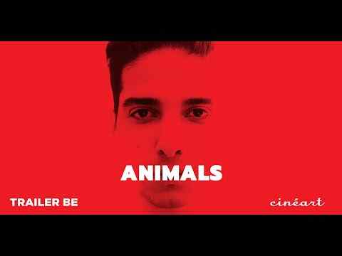 Animals - trailer