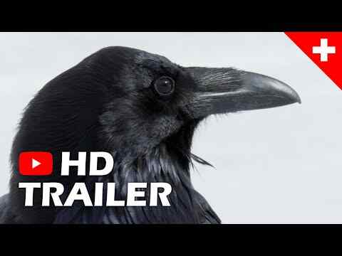 Crows - trailer