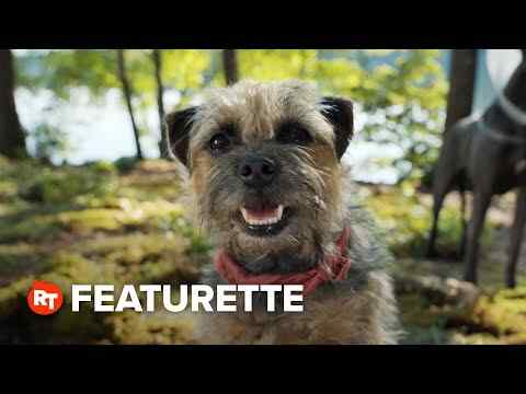 Strays - Featurette - Meet Reggie