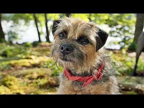 Doggy Style - trailer 2