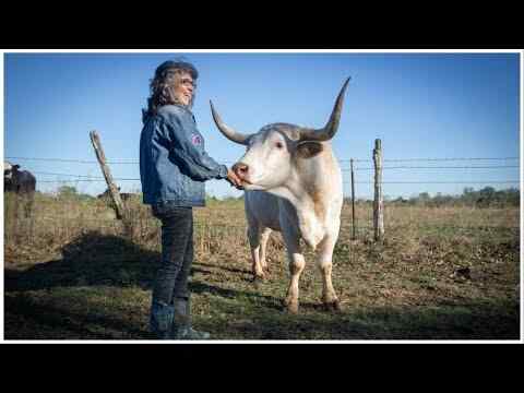 Rowdy Girl - Director Jason Goldman interview
