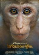 Im Reich der Affen