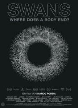 Swans - Where Does a Body End?