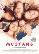 Mustang (2015)<br><small><i>Mustang</i></small>