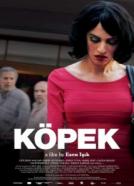 Köpek - Geschichten aus Istanbul