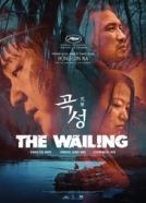 The Wailing - Die Besessenen