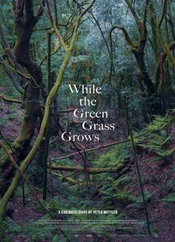 While the Green Grass Grows