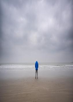 Ozean mit David Attenborough (2025)<br><small><i>Ocean with David Attenborough</i></small>