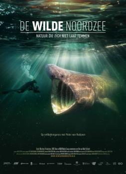 Die wilde Nordsee - Natur, die sich nicht zähmen lässt (2024)<br><small><i>De wilde Noordzee</i></small>
