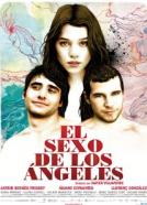 The Sex of Angels