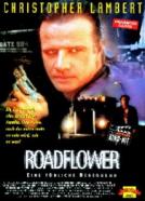 Roadflower