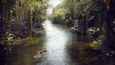 Ausschnitt aus dem Film - The Jungle Book