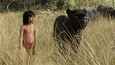 Ausschnitt aus dem Film - The Jungle Book