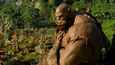 Ausschnitt aus dem Film - Warcraft: The Beginning