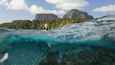 Ausschnitt aus dem Film - The Shallows - Gefahr aus der Tiefe