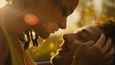 Ausschnitt aus dem Film - American Honey