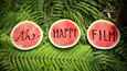 Ausschnitt aus dem Film - The Happy Film