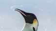 Ausschnitt aus dem Film - Die Reise der Pinguine 2