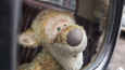 Ausschnitt aus dem Film - Christopher Robin