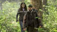 Ausschnitt aus dem Film - Leave No Trace