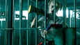 Ausschnitt aus dem Film - Birds of Prey: The Emancipation of Harley Quinn