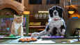 Ausschnitt aus dem Film - Cats & Dogs 3: Pfoten vereint